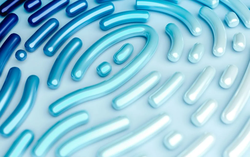 A digital fingerprint.