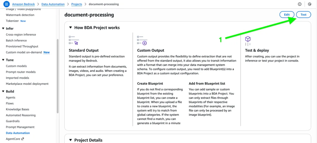 The document processing interface within Data Automation.
