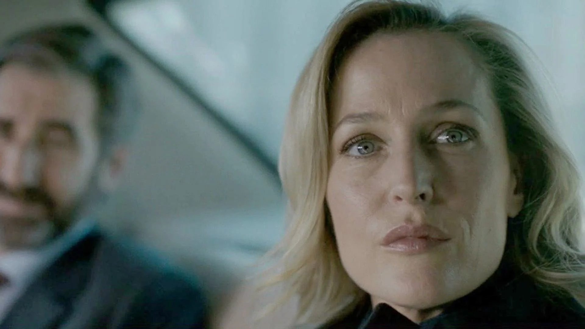 The Fall (2013 &ndash; 2016)