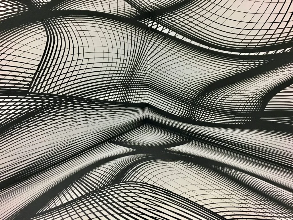 Abstract black lines form warped grids and sweeping curves across a white background, creating an optical illusion of three-dimensional space.