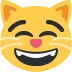 😸