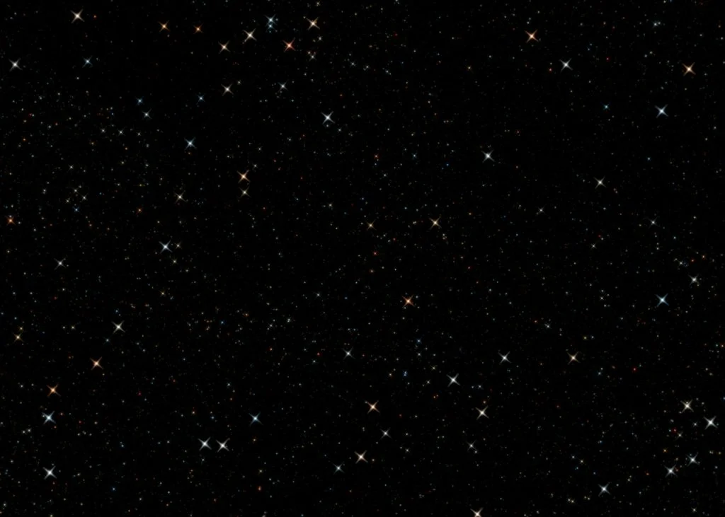 Elon Musk says space will soon hold nearly all compute. Google is still finding out if its chips can work there.