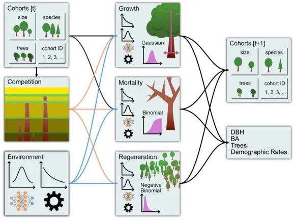 Illustration of how FINN works